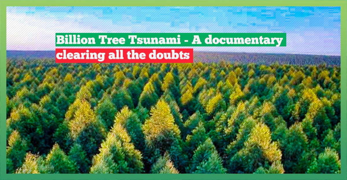 billion-tree-tsunami-facts