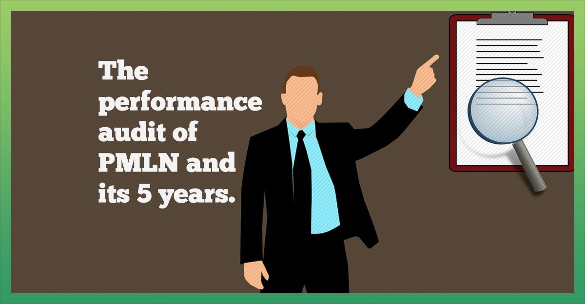 pmln-performance-audit-report