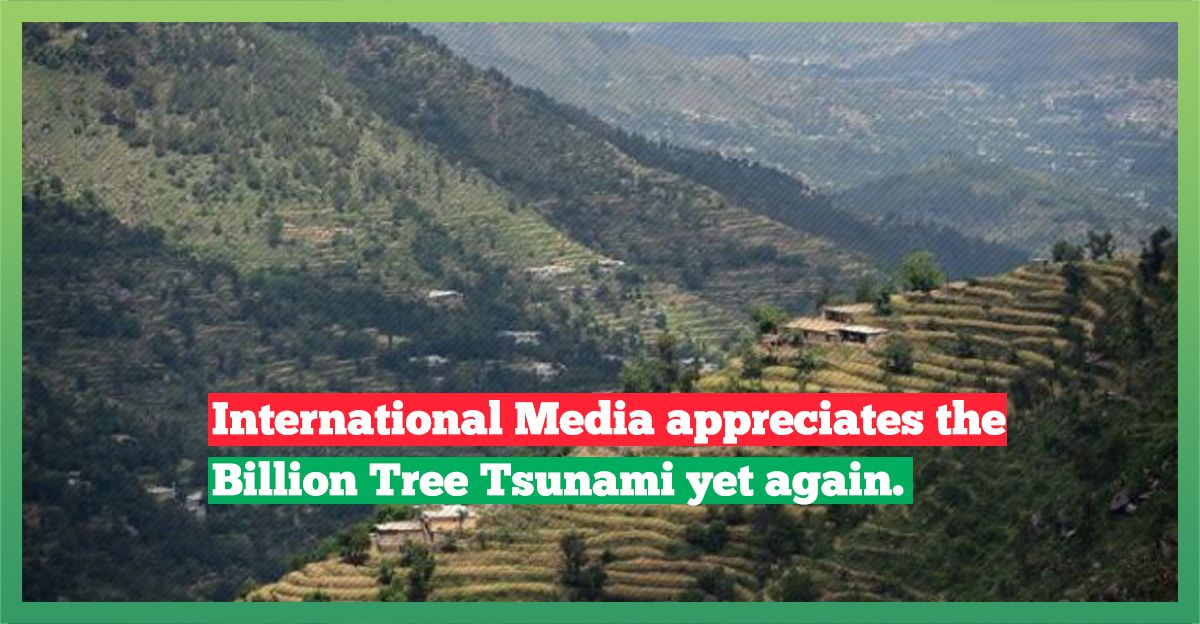 international-media-report-billion-tree-tsunami international-media-report-billion-tree-tsunami