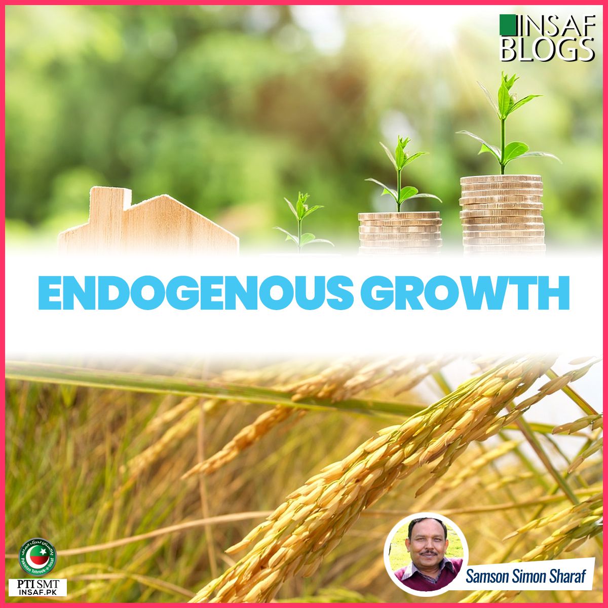 ENDOGENOUS-GROWT-insaf-blog-2018.jpg