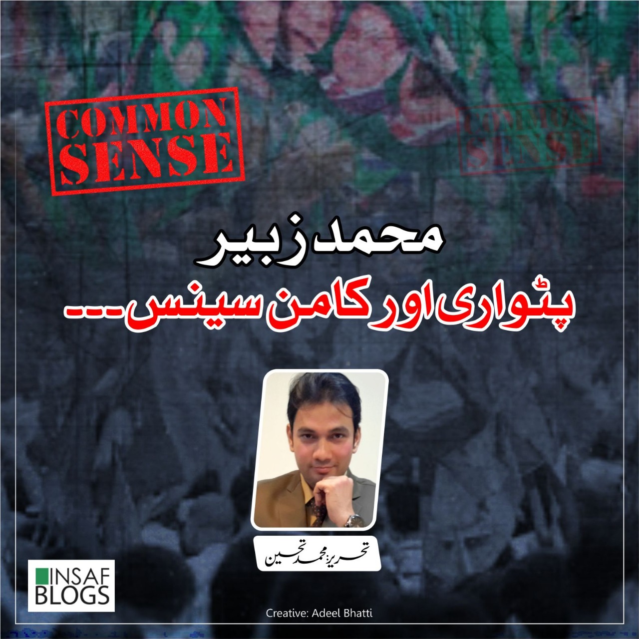 Patwari and Common Sense - Insaf Blog.jpeg
