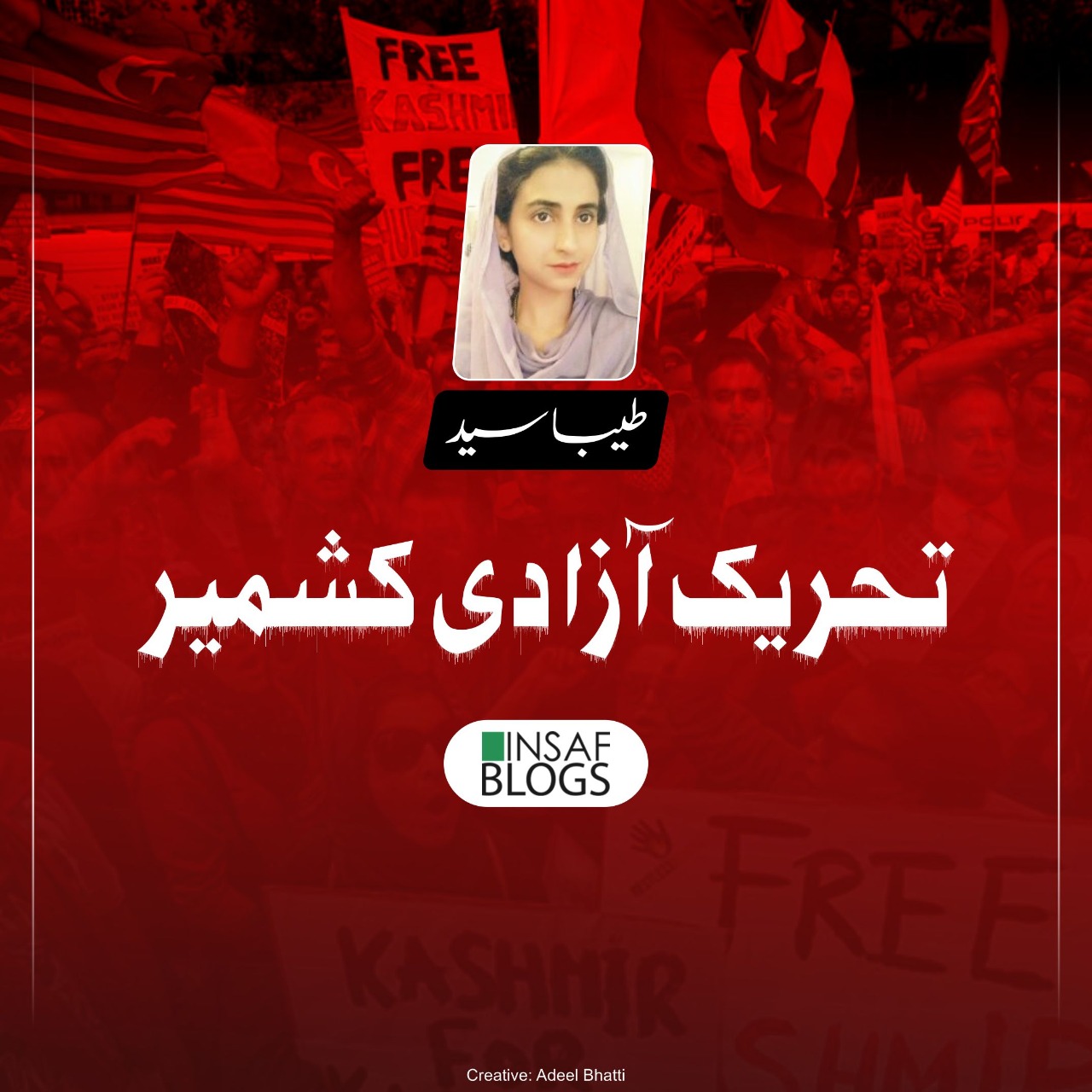 Tehreek E Azadi Kashmir Insaf Blog