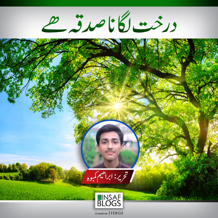 Tree Plantation - Insaf Blog